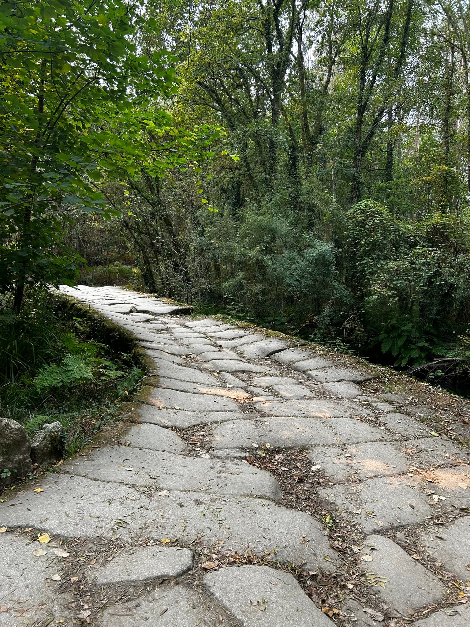 Ciclistas no Caminho