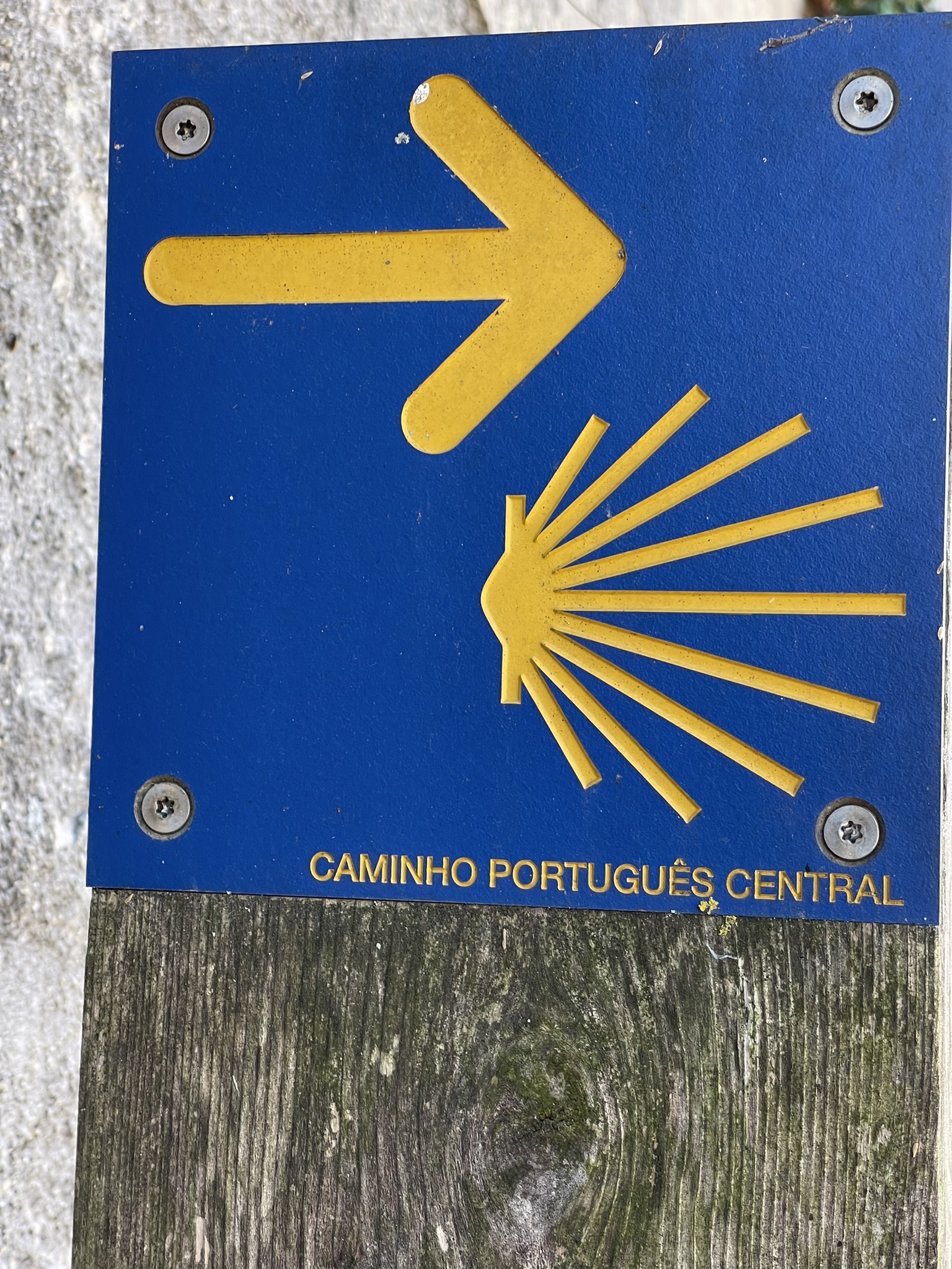 Caminho de Santiago de Compostela: Caminho Português da Costa — foto 4