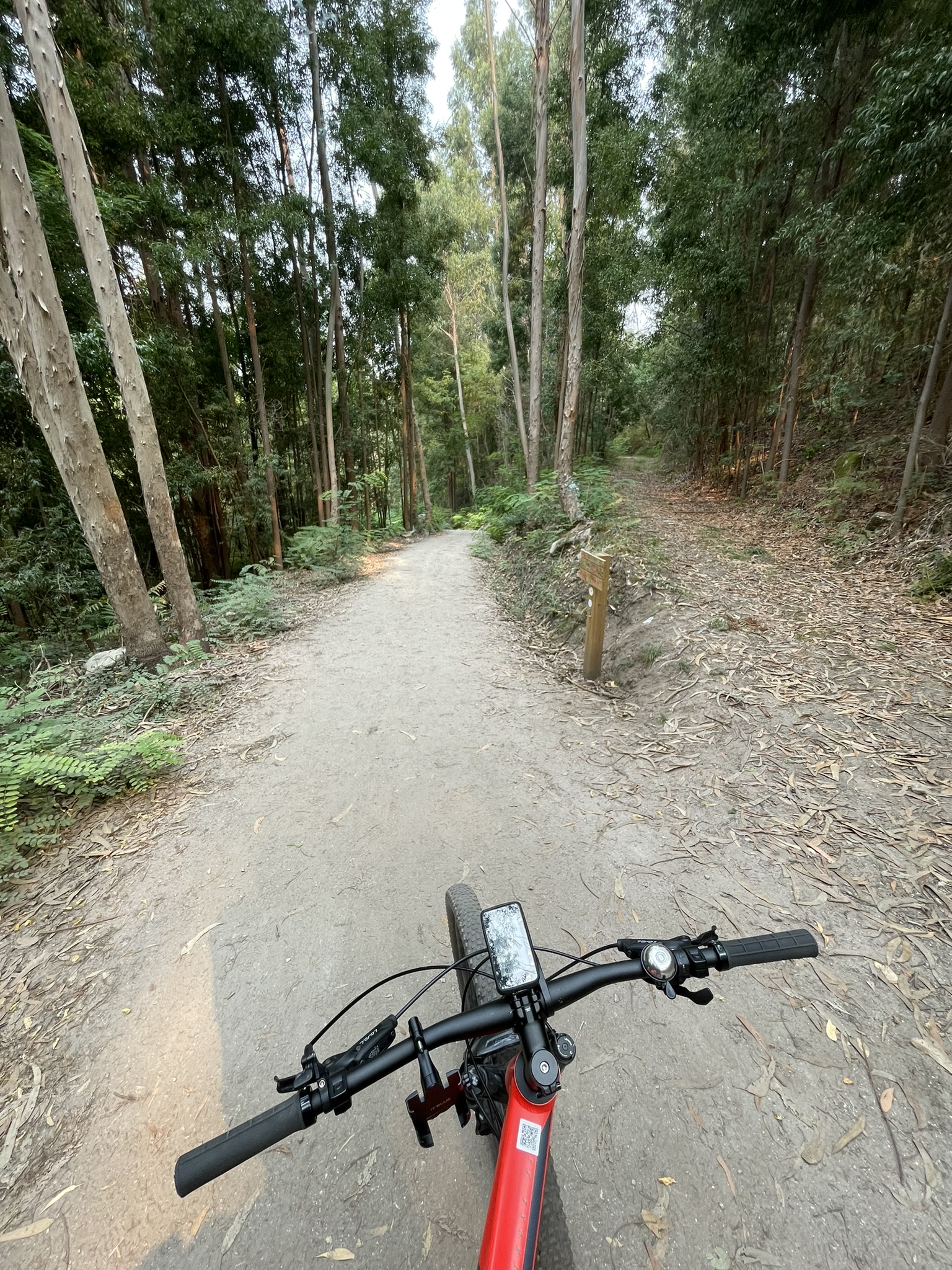Caminho de Santiago de Compostela: Caminho Português da Costa — foto 17