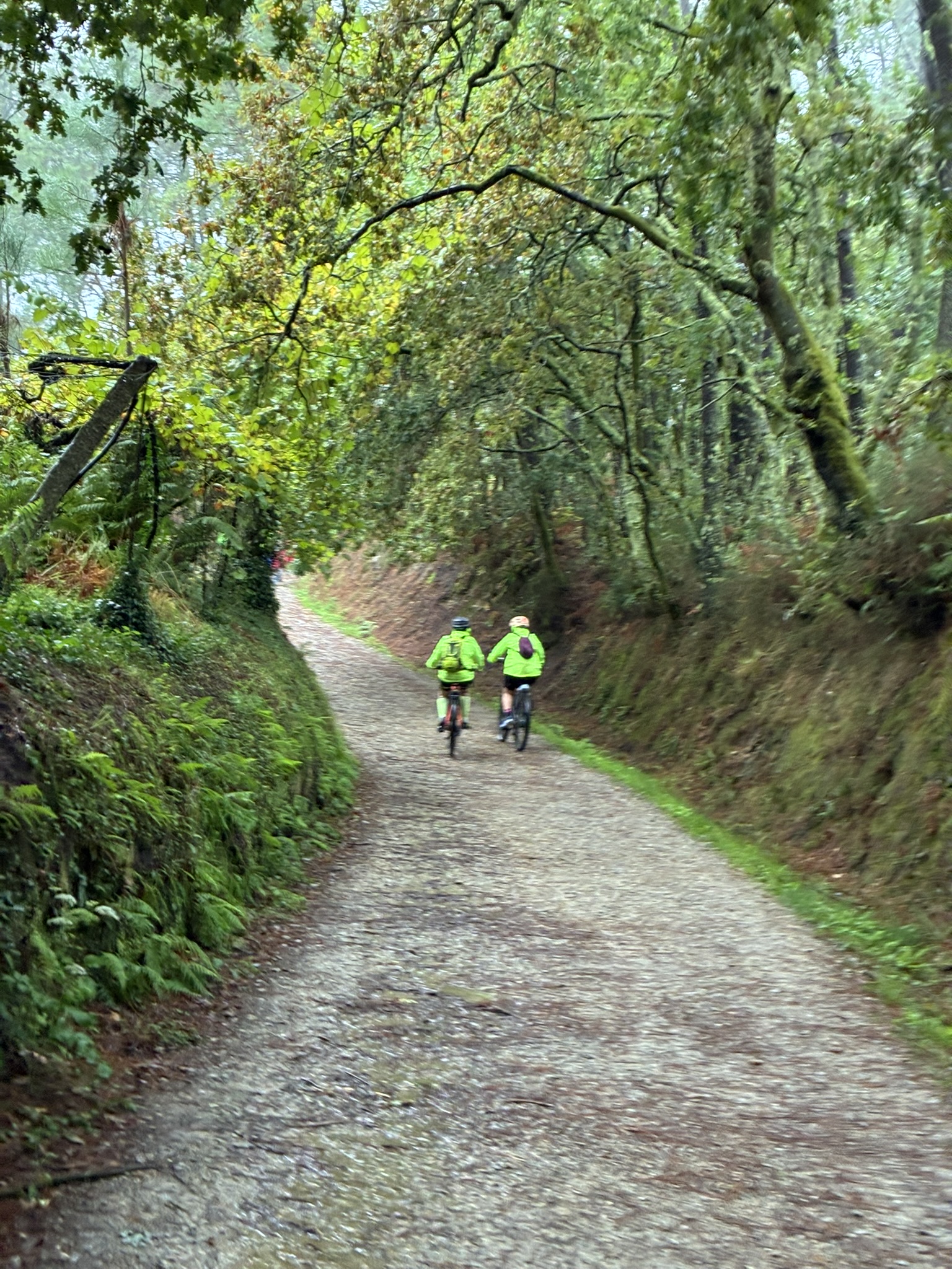 Caminho de Santiago de Compostela: Caminho Português da Costa — foto 77
