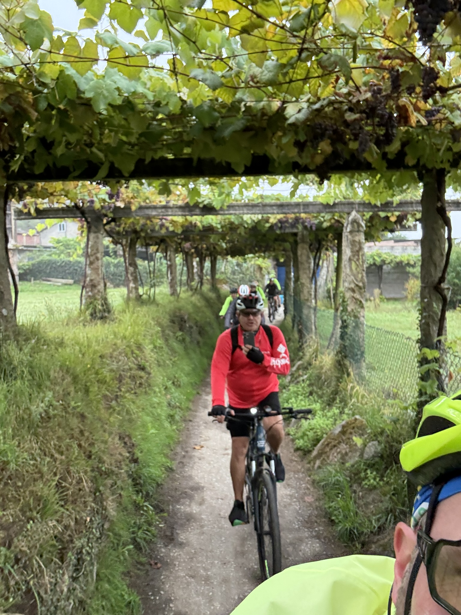 Caminho de Santiago de Compostela: Caminho Português da Costa — foto 79