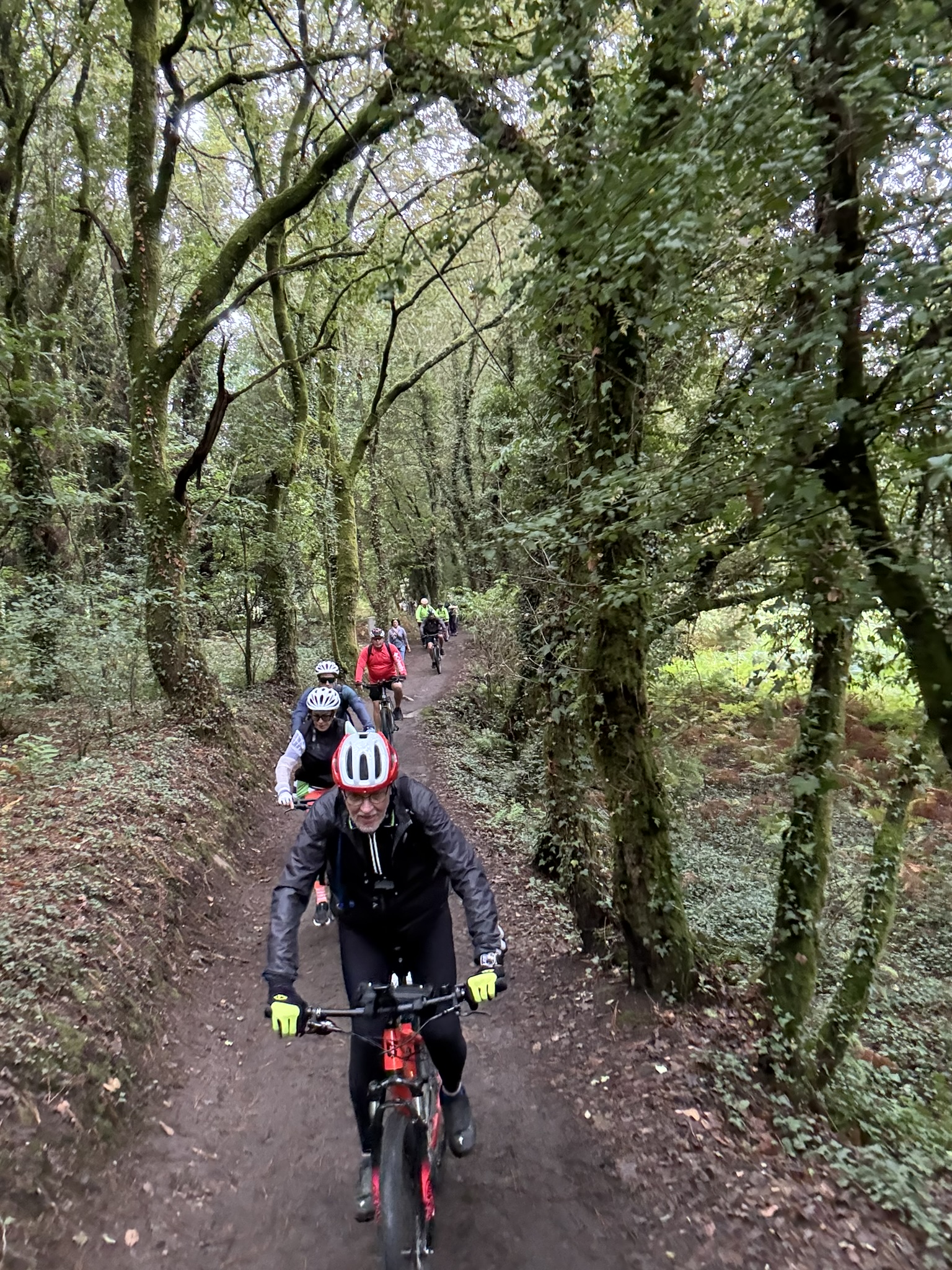 Caminho de Santiago de Compostela: Caminho Português da Costa — foto 80