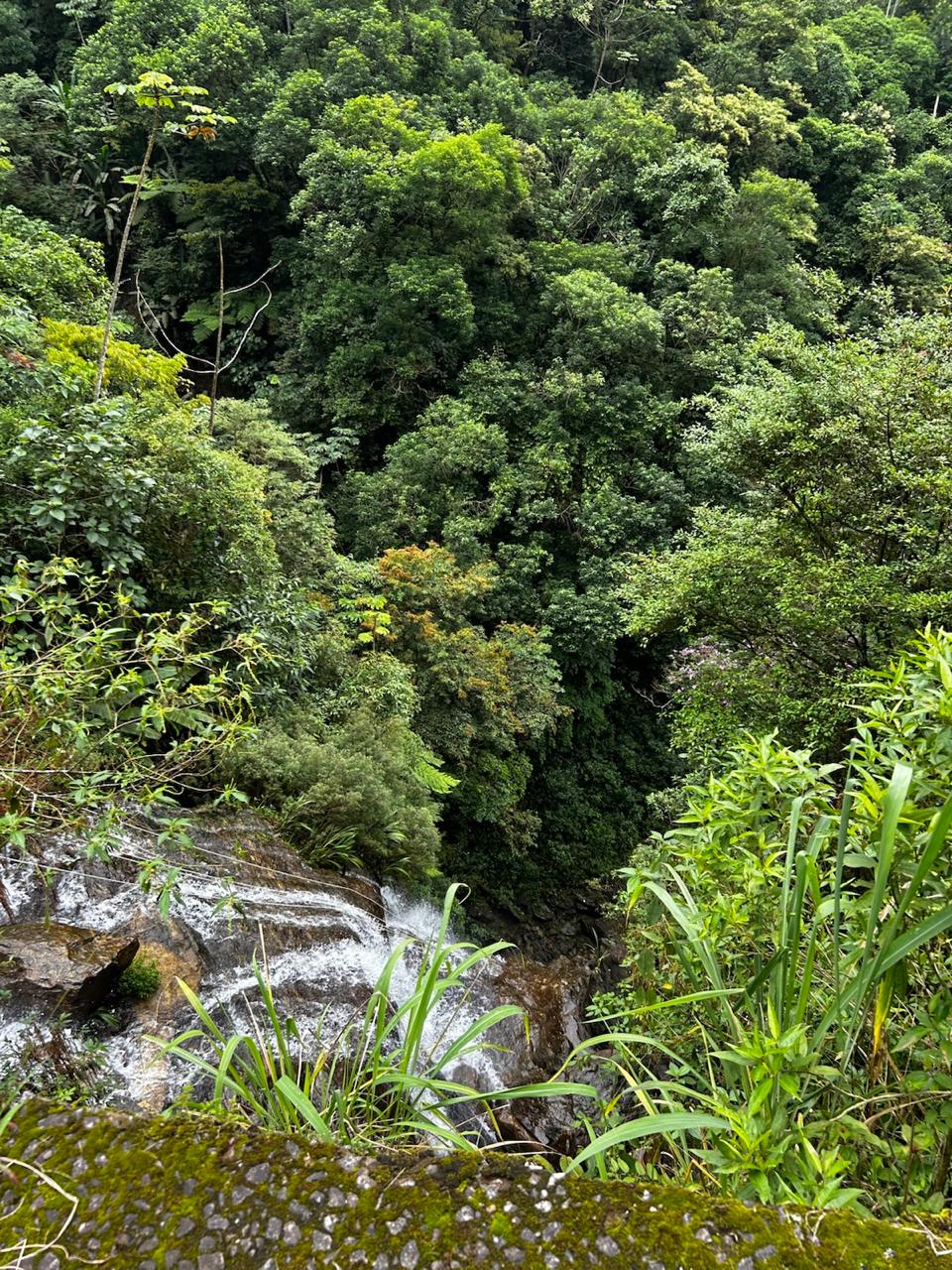 Estrada de Manutenção — Rota Márcia Prado — foto 2