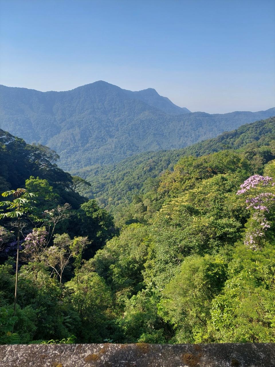 Estrada de Manutenção — Rota Márcia Prado — foto 3