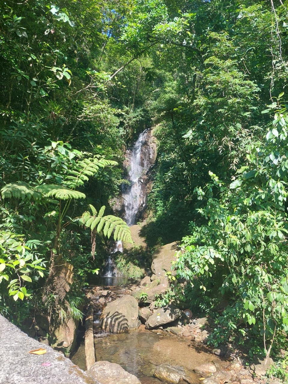 Estrada de Manutenção — Rota Márcia Prado — foto 6