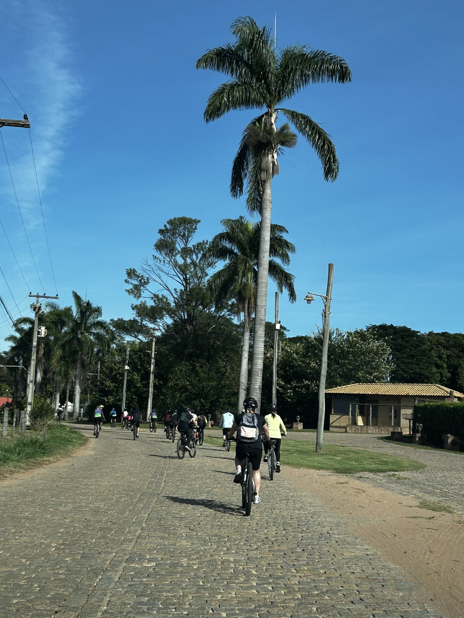 Holambra — foto 14