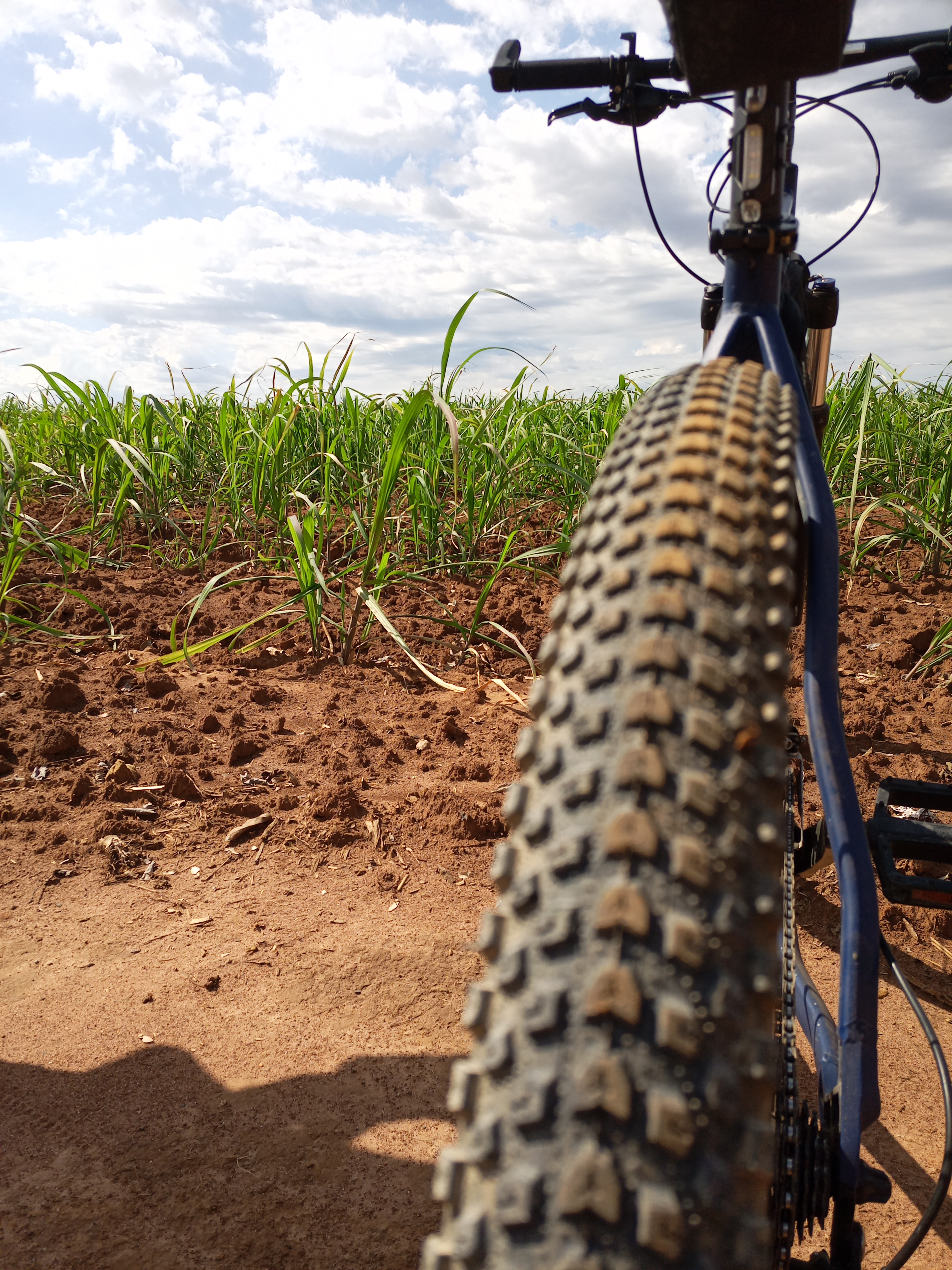 Rota dos Cavaleiros — foto 8