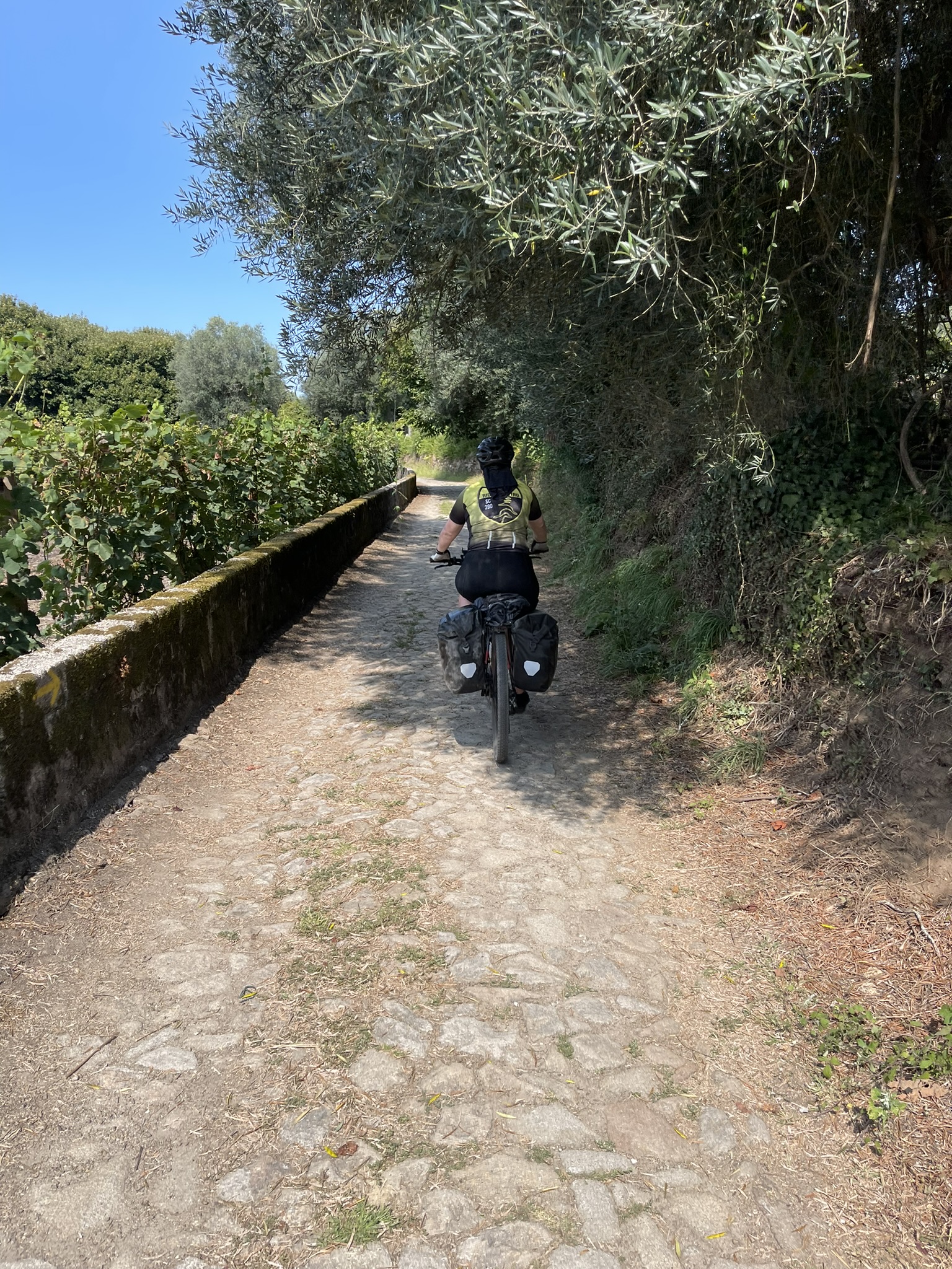 Caminho de Santiago de Compostela — foto 9