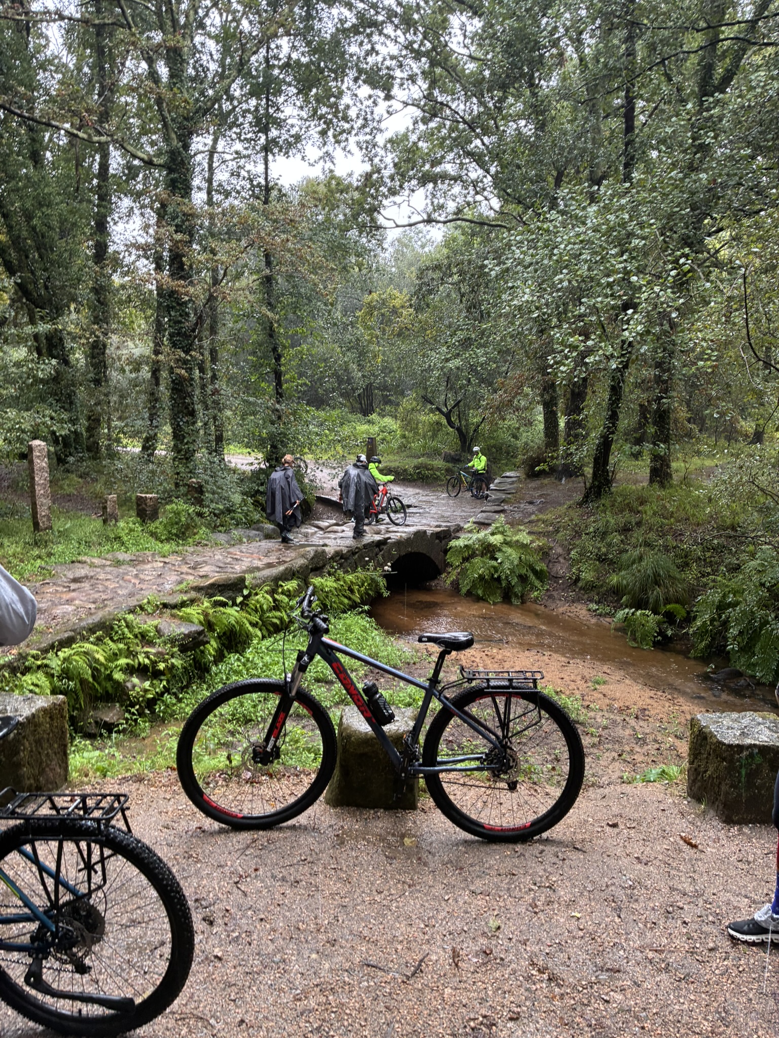 Caminho de Santiago de Compostela — foto 64