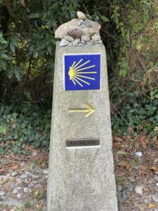 Pedal - Santiago de Compostela - Imagem 3