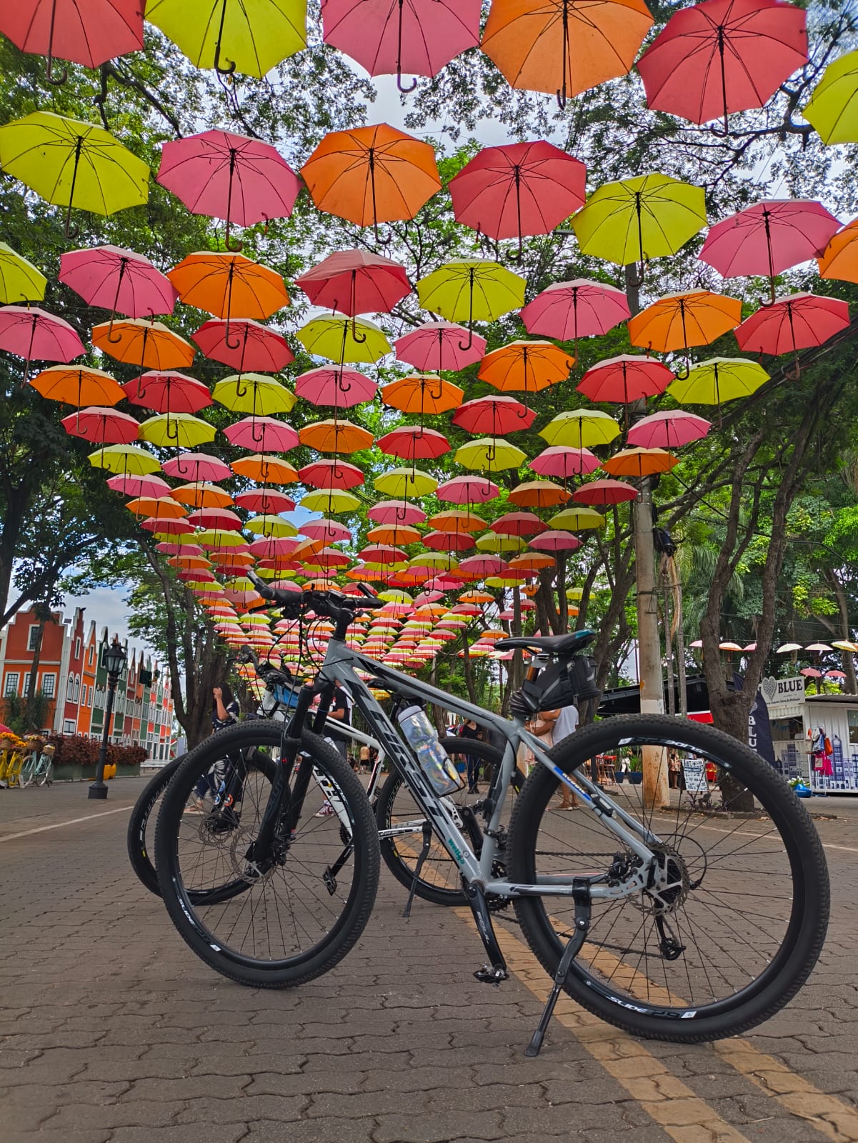 Sandra e Edu — fundadores da Pedal&Prosa