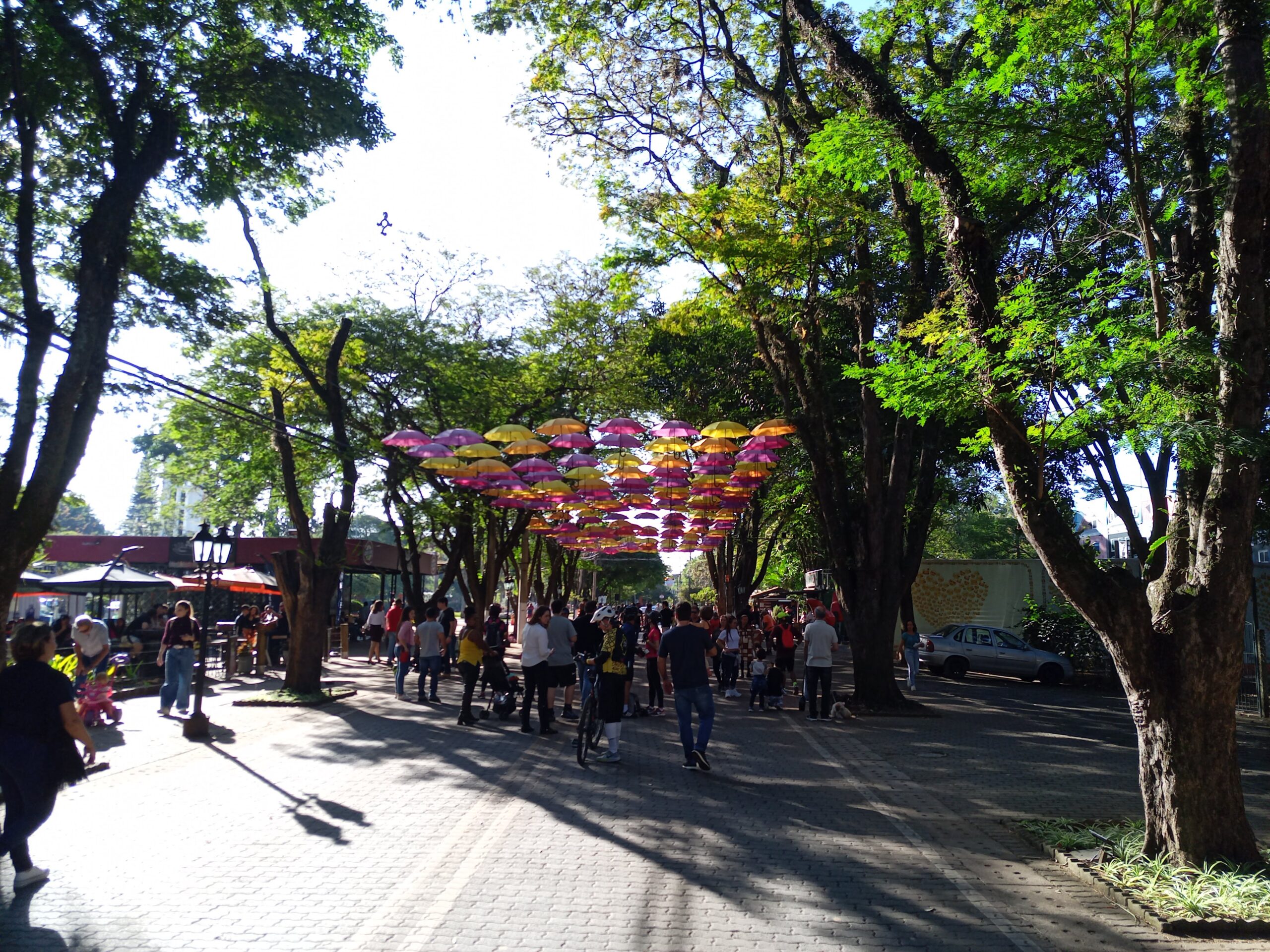 27 SETEMBRO: Pedal da Primavera - Holambra - Imagem 15