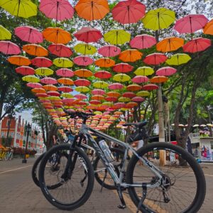 27 SETEMBRO: Pedal da Primavera - Holambra